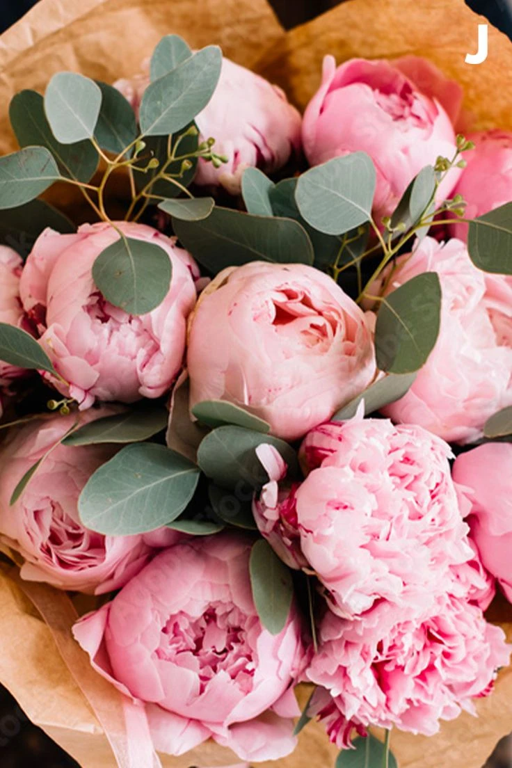 Bouquet Pivoine
